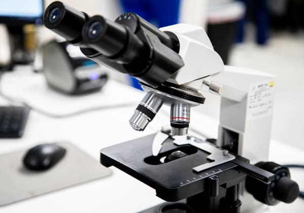 In-House Lab, Woburn Vet Hospita